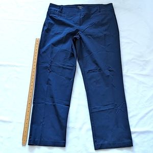 Navy Penningtons Savvy Fit stretch pull up pants size e 20